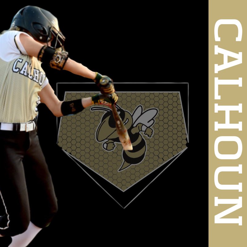 CalhounSoftball's tweet photo. The Lady Jackets Softball Team defeated Heritage today 4-2 as @lraerae01 blasted a 2-Run Walk-Off Homer in the bottom of the 8th inning. @mcbrayer_maggie was the winning pitcher striking out 5 and allowing only 3 hits. https://t.co/Qko65Oc1Dn