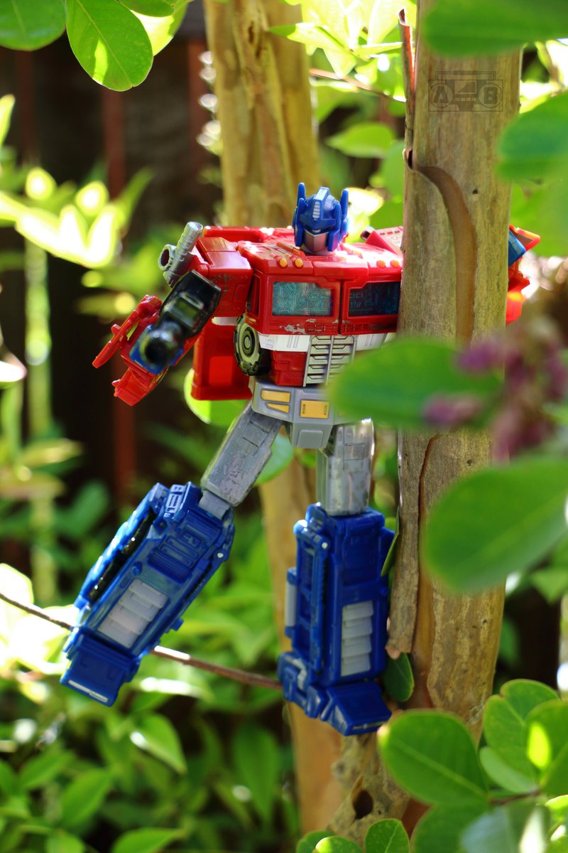 abopphotography's tweet photo. Sometimes you just have to let out your inner monkey... #transformers #toyphotography #autobot #optimus #prime #optimusprime #autobotleader #tree #nature https://t.co/se3VT7FMVt