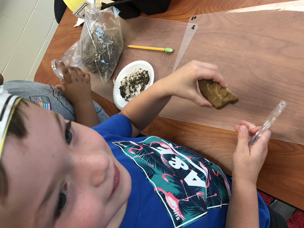 JenniferAGates's tweet photo. @MtnViewES #kindergarten discovers #STEM #scientifictools #livingnonliving #observations #comparecontrast #everystudenteveryday #LoveToSTEMHere @ReneeGarriss @BeckyHintz @vickiekogan @Amusto12 https://t.co/MVyfwHimIy