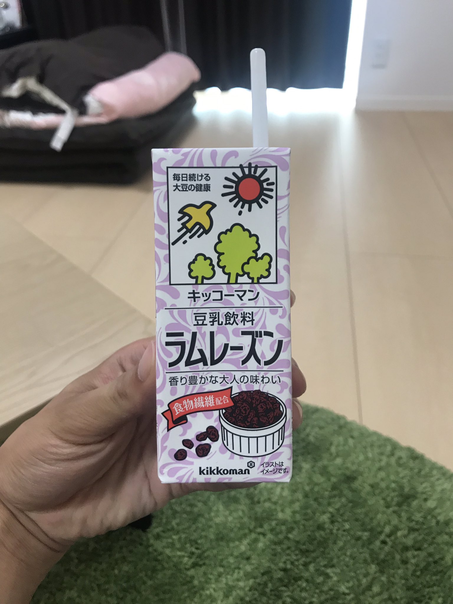 レンタルなんもしない人 寝落ちってありですか と聞かれ 消灯したあと 話を聞いてほしい という依頼を遂行しながら寝落ちした 暗闇で会話するのめちゃくちゃ楽しかった 朝は野菜ジュースとラムレーズン豆乳の2択をせまられた あとなぜか 魔除けの