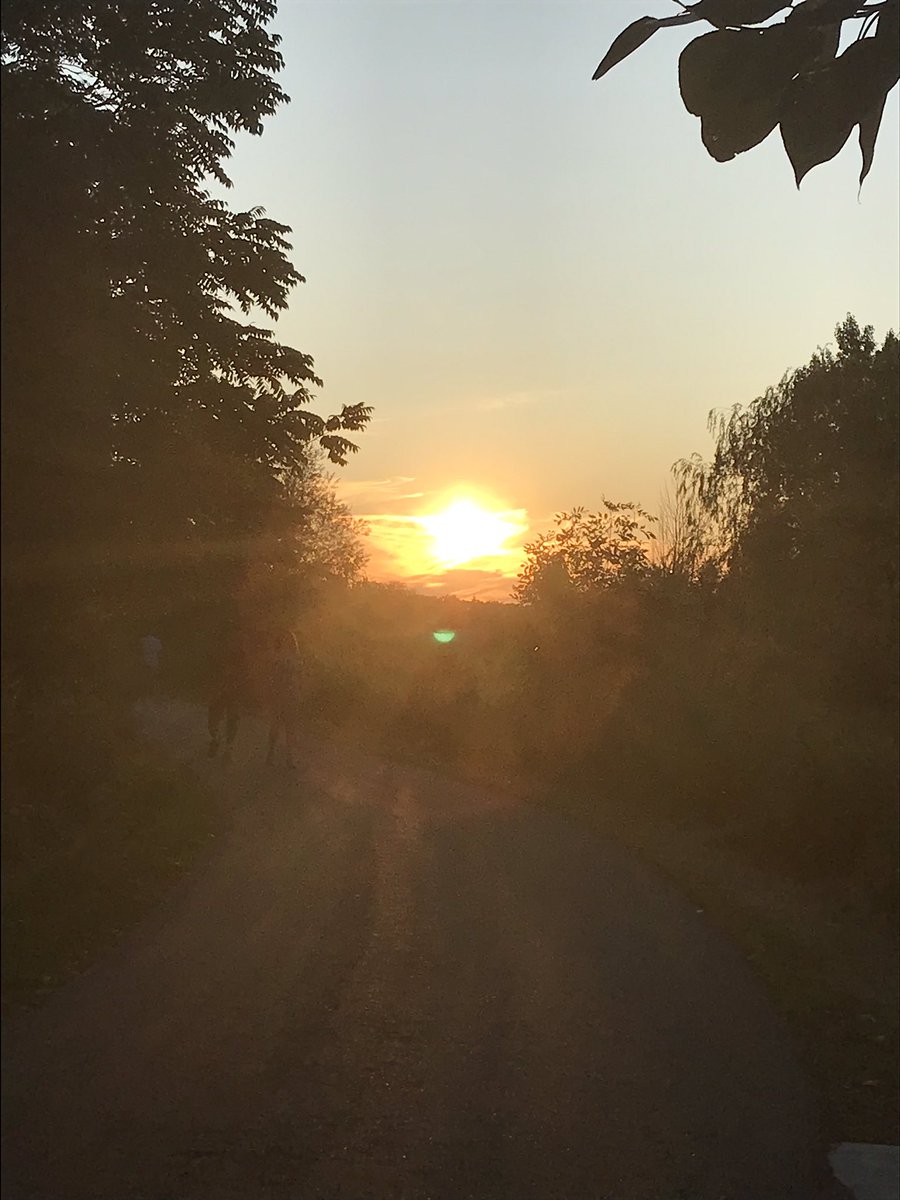 angieland10's tweet photo. Beautiful sunset walk with pup ❤️🐶 #walkingmeditation https://t.co/R3bxA2L56Q