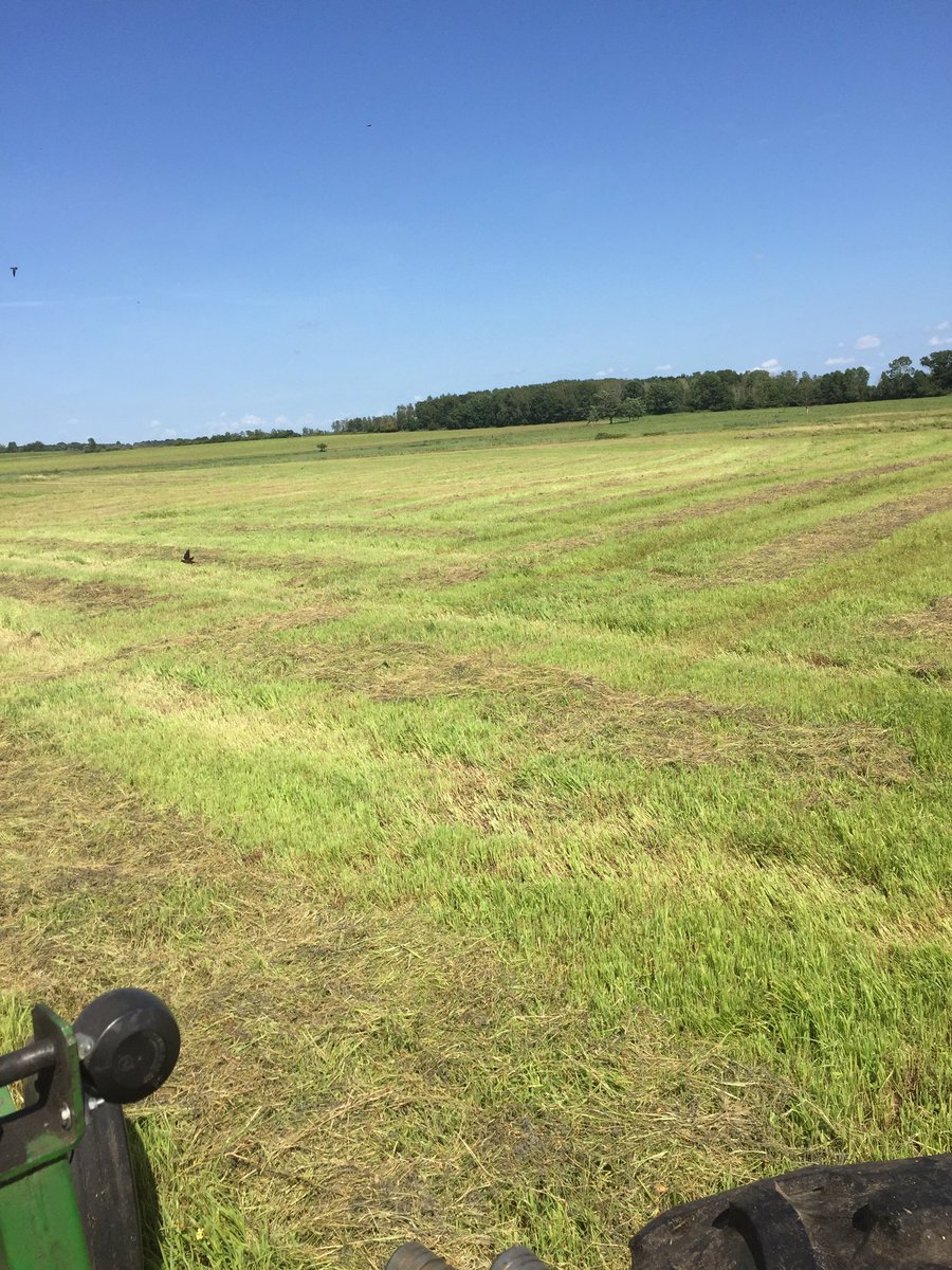 JeffreyJelinski's tweet photo. Just a couple views from my office chair today. Lots, lots, lots of hay and sunshine to. Please watch out for YOUR #AllAmerican #Ranchers and #Farmers and their #SlowMovingVehicles. #StaySafe #KeepSmilin ππΊπΈ https://t.co/OZjCQsjv64