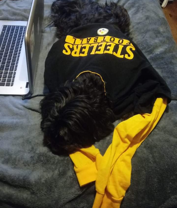 DJKarmaSTL's tweet photo. Let's go Steelers!! #HereWeGo #Steelers #SteelersNation https://t.co/Fxh4yKhLLa