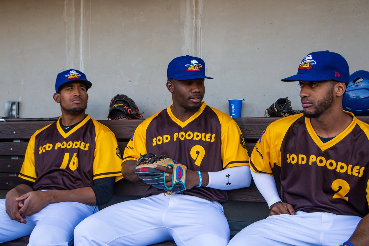 amarillo sod poodles jersey