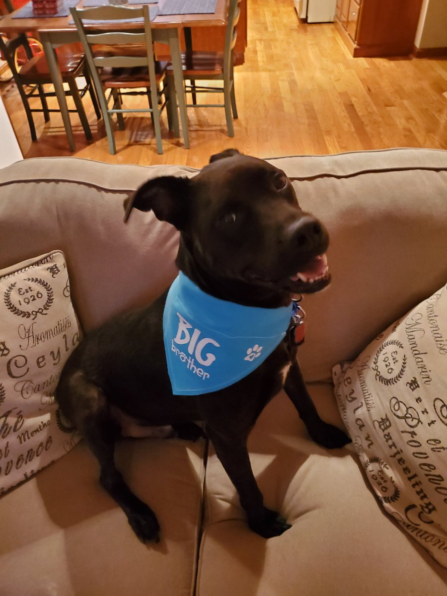 Sayward Gillen tweet media