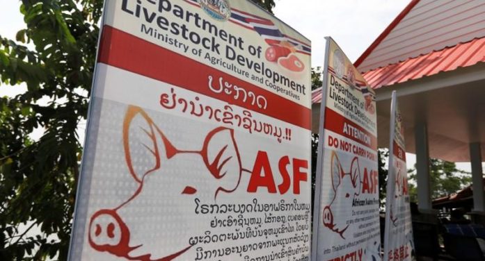 jeffthomaslive's tweet photo. #Thailand Bans Pig Imports from #Myanmar Over African Swine Fever - https://t.co/V8oDuDaLWZ - https://t.co/5ypMlPQMHk -The ban comes ... -#AfricanSwineFever https://t.co/4jdGVwvrNX