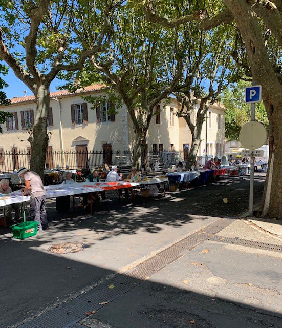 LivesParallel's tweet image. Great to be represented at the second annual Salon des Ecrivains in #Quillan #Aude @JAndrewesNZ @PyreneesAudois