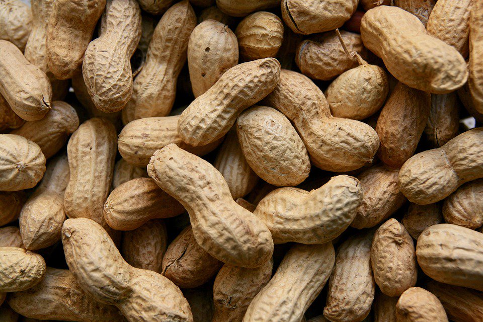 MomsWhoSave's tweet photo. The Benefits of Nut Butters and How to Make Them

https://t.co/VgO26uvpV1

#nuts #health #cooking #peanuts #almonds #peanutbutter #almondbutter #walnuts #walnutbutter #cashews https://t.co/p1CtquUUpS