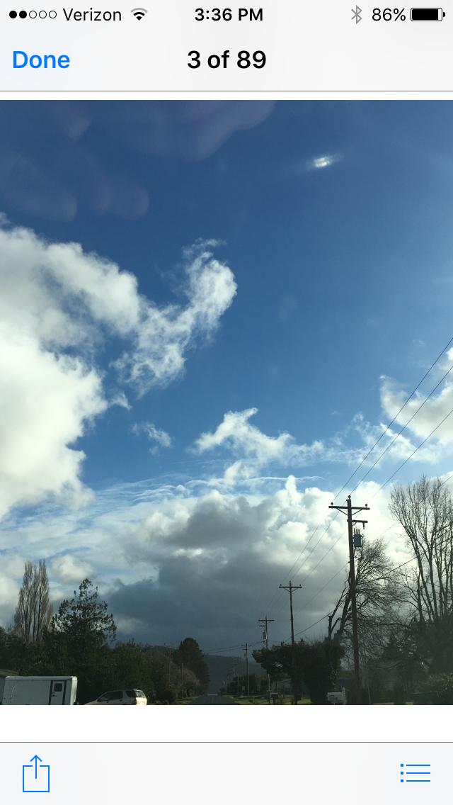 sydney ayers- text TRUMP to 88022 tweet media