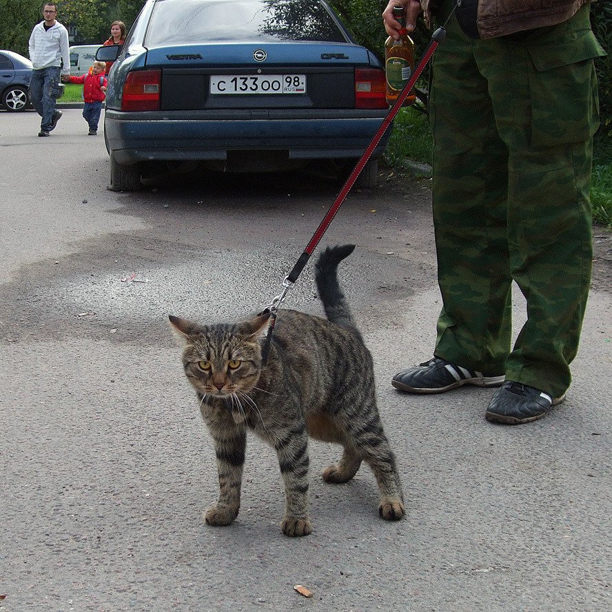 ECO0qOnX4AAR0M5.jpg:large