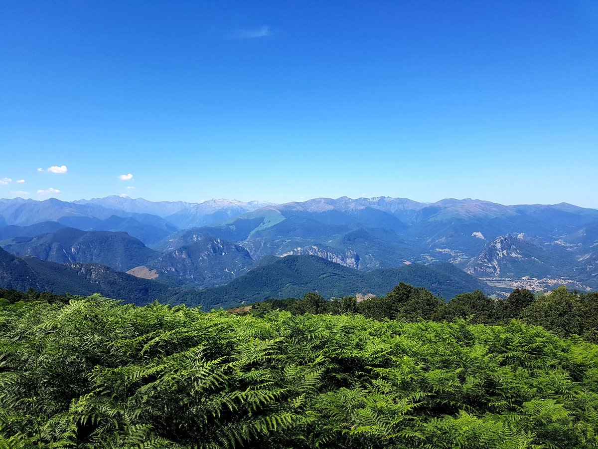 jourdan_jerome's tweet photo. Que faire ce Samedi matin ⏰🤔☕ ? Partir à l'assaut du #FOURCAT par Mercus 🔝 Temps SUPERBE 🙏 SOLEIL Étincelant ☀️ Crapahuter 😅.. Trotter 🏃‍♂️.. Et, Gagner cette Vue Majestueuse sur les #pyrenees Ariegeoises ⛰.. #Balade #Occitanie #montcalm #foix #ariege #running #Training https://t.co/VvU40swFNy