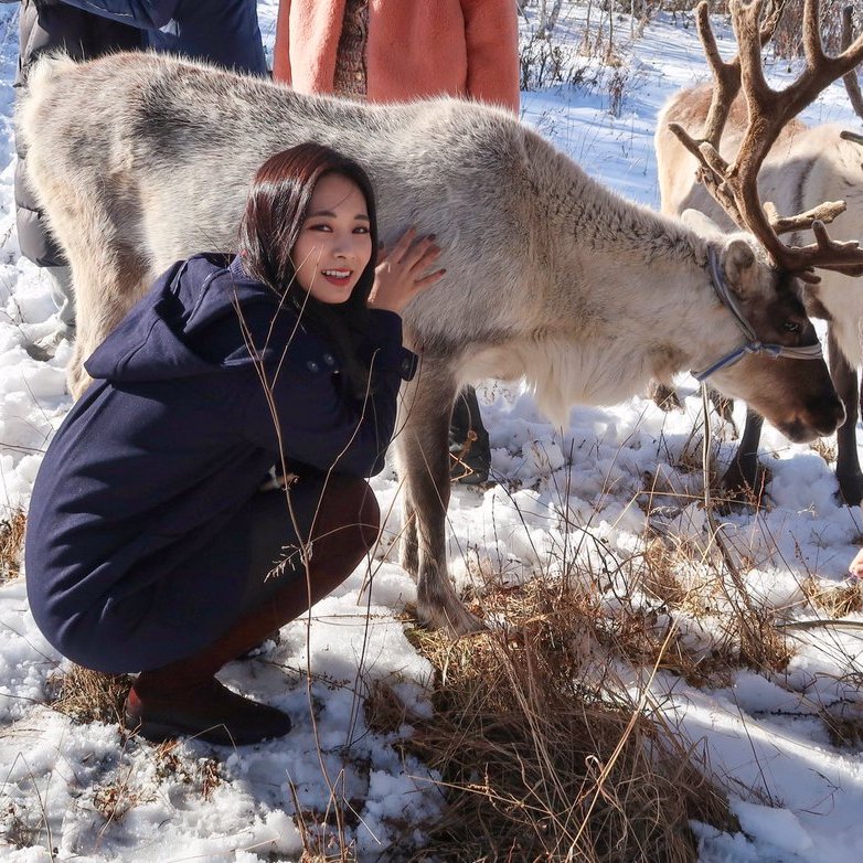第三個(戳手)羊毛氈作品 子LOVELY和馴鹿 TZUVELYとトナカイ #子瑜