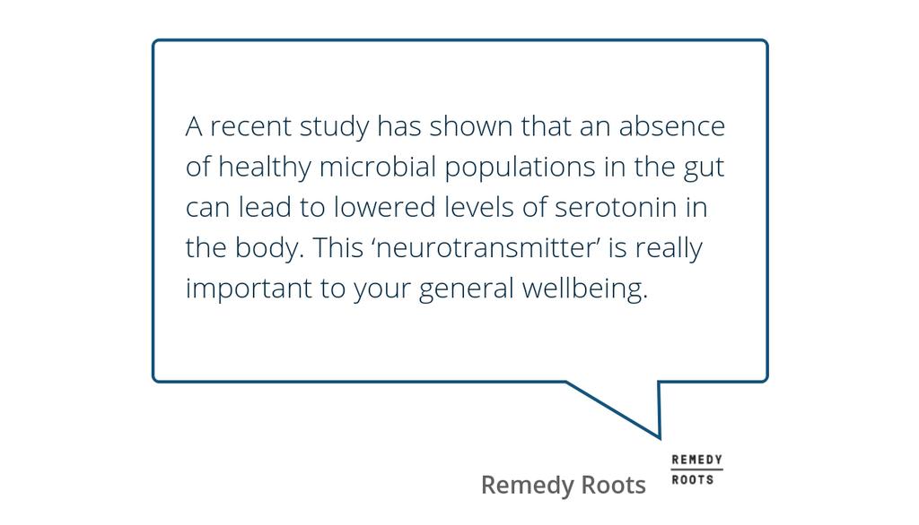 Hot off the press: Gut Healing Foods for Better Mental Health lttr.ai/Goik #Guthealth #HerbalandHealth #Immunesystem #Digestive