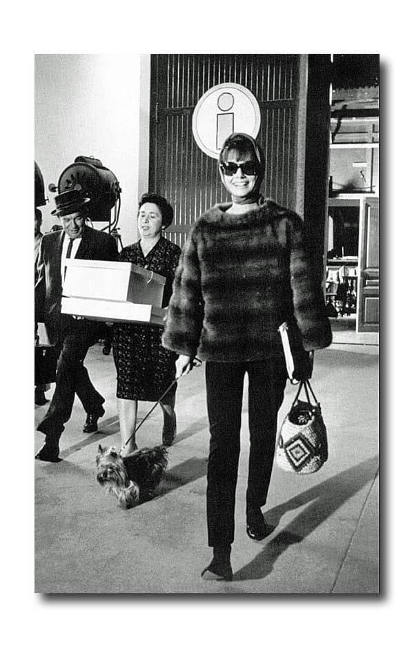 Audrey Hepburn's Basket Purse Get a Modern Update: Details