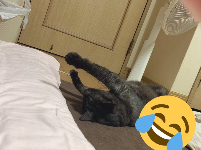 今村麻莉愛のTwitter画像32