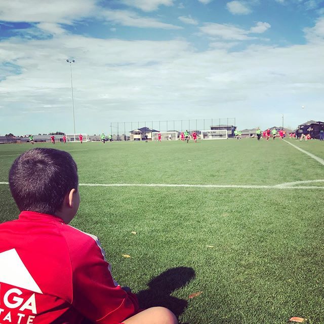 always_josefa's tweet photo. Baby bear watching Papa Bear play #soccermum #soccerwife #sundayvibes #georgiescourage @georgecrossfc https://t.co/KI9wiiqiri https://t.co/lP4GDAK2me