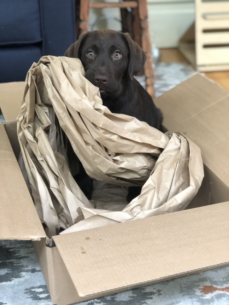 Vik Tantry Viktantry Twitter