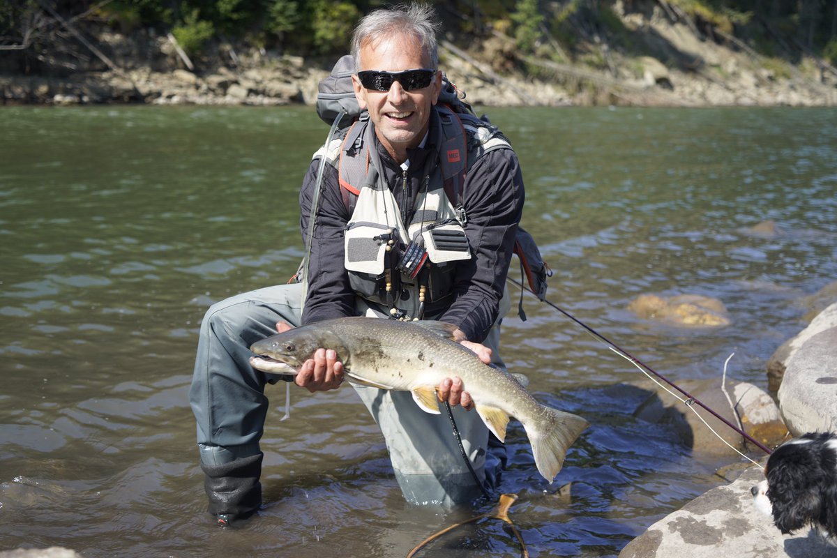 CGWM_Stushnoff's tweet photo. Great day flyfishing the Ram River with Pete, who caught this monster Bull Trout...with a moose watching all the action #flyfishing #ramriver #alberta https://t.co/jiRyT0lk2y