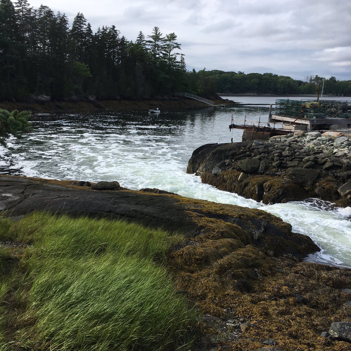 MeteoroloJess's tweet photo. Maine. #thewaylifeshouldbe #twoohseven #holbrookislandsanctuary https://t.co/fvKtC0rjdF