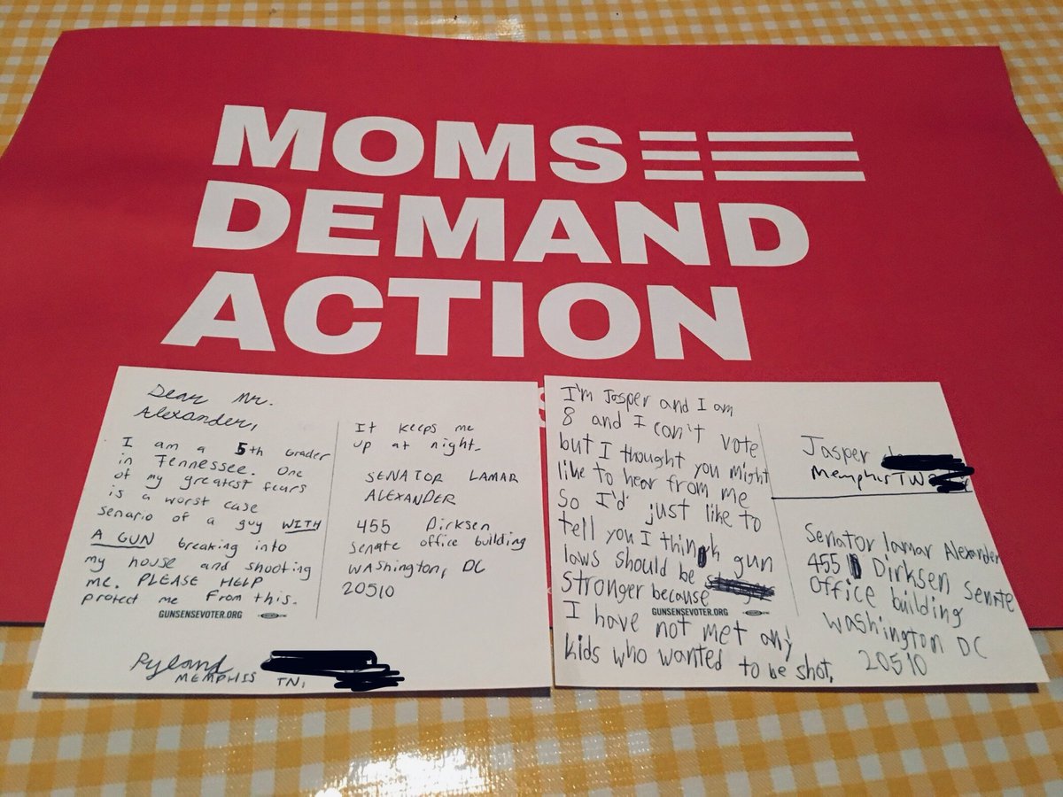 TheBarbaraKing's tweet photo. "I'm Jasper and I am 8 and I can't vote but I thought you might like to hear from me. So I'd just like to tell you I think gun laws should be stronger because I have not met any kids who wanted to be shot." @SenAlexander #Memphis #RecessRally #tnleg @MomsDemand @Everytown https://t.co/99p8iGx4X7