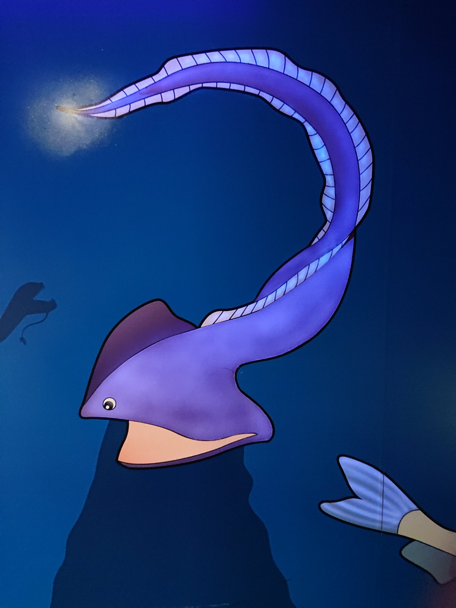蟹蟲修造 生物部 宮口 Twitter पर 深海魚のイラスト可愛い 2 4枚目は分かるんだけど １枚目のこいつは 口内に発光器だと 何奴 ミズウオめっちゃかわええ T Co 6bazslypkr Twitter