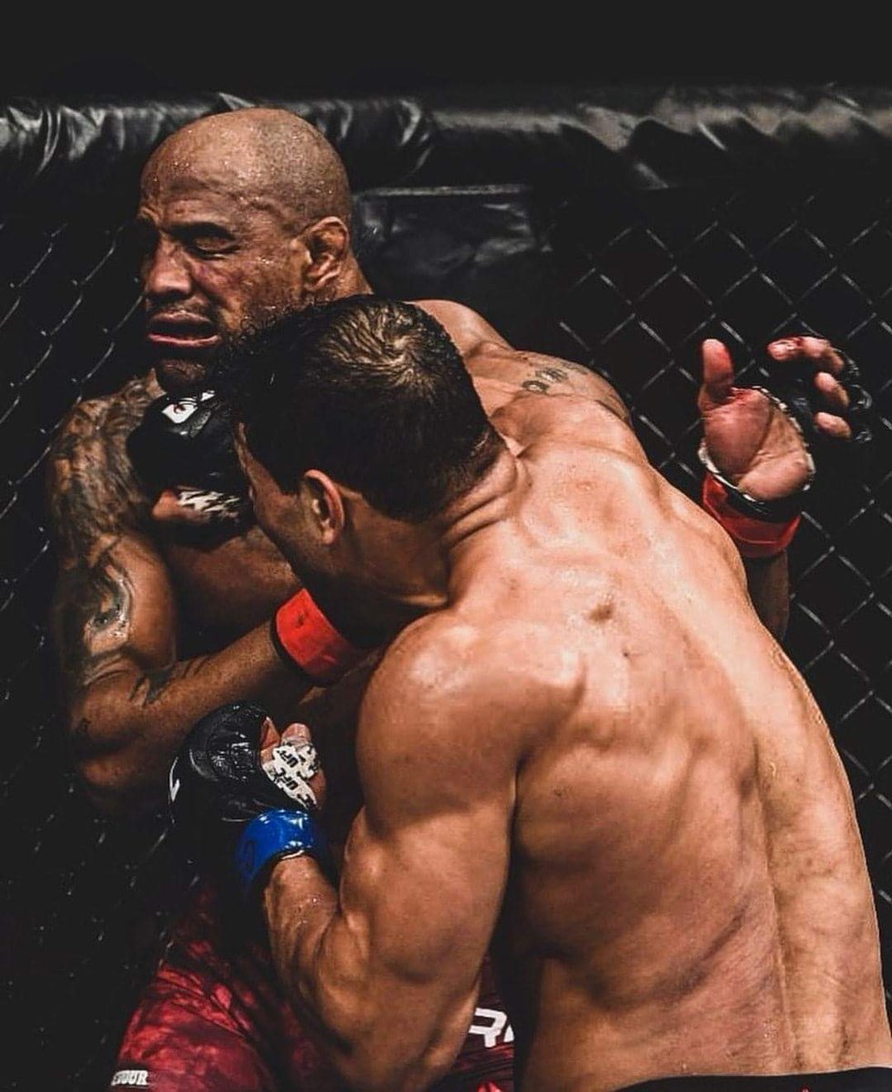 Want to fight. Want to fight. хавьер фортуна боксер. фэллон фокс мма. цой и дум.