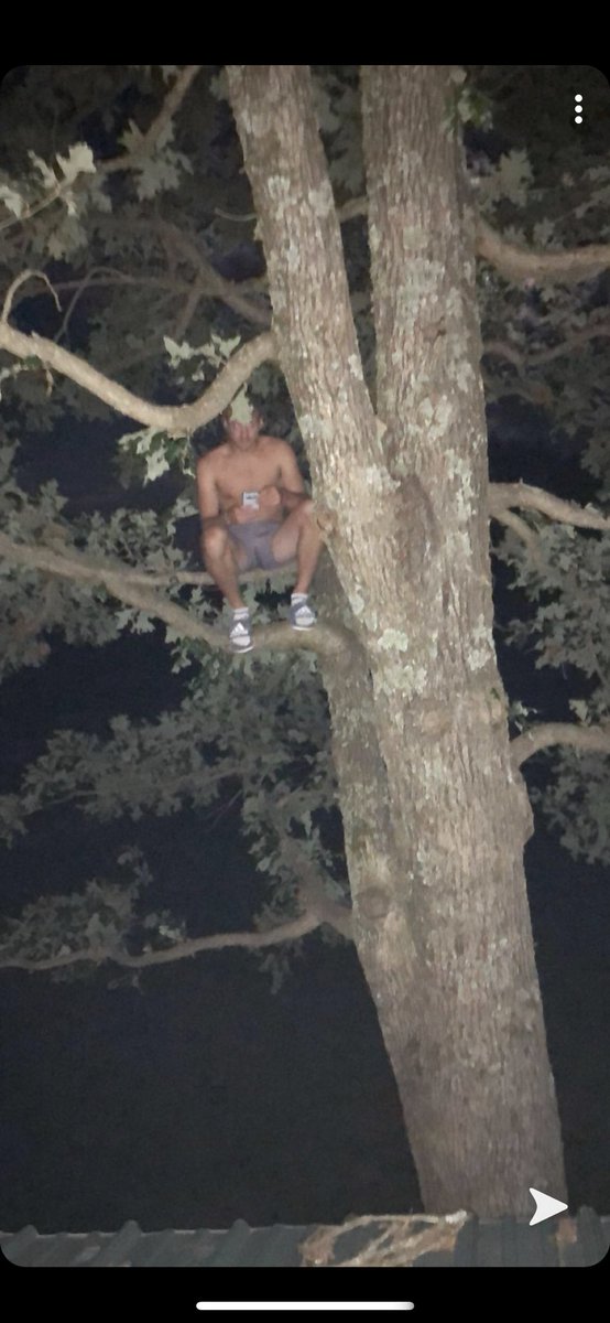 derekhete111's tweet photo. This is my son. Monkey boy https://t.co/TycwpFM7cp