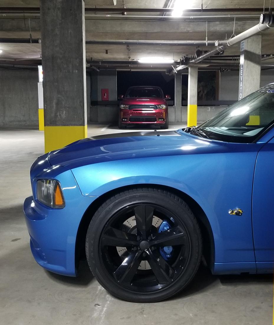 SWEEETSRTBEE's tweet photo. @Dodge My 2 grocery getters. One day they'll cruise Woodward #B5forlife #drivewhatyoulove #SuperBee #SRTDurango #SRTCharger #SRT https://t.co/FNgM2bZLoC