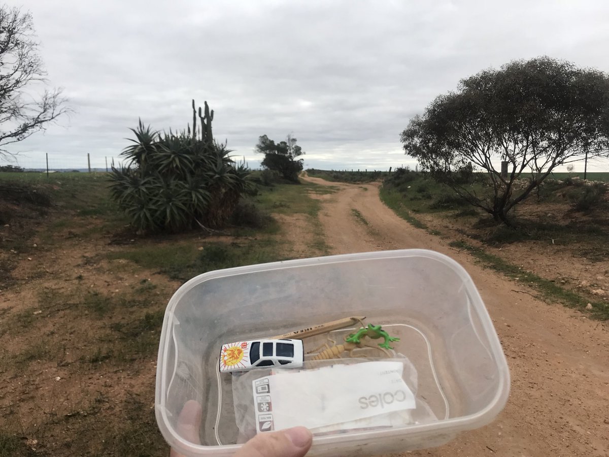 nichonavs's tweet photo. #geocaching Around #Wallflat near #Mannum we found this #cache called #pricklyspot placed by #geocacher Money Dork. No #swaps so we added #car #frog and #bug. https://t.co/HCkyajwzqG #tftc #geocache https://t.co/PrYppHqDNF