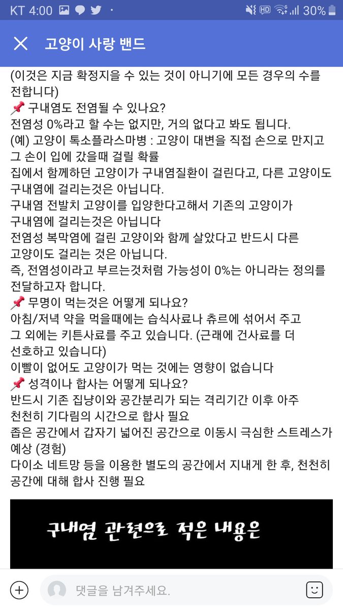 Hiku__1's tweet photo. 임보자분&amp;입양자분 구해요. 전 발치 고양이 방사하신다는데 9월이면 얼마 안남았는데 도와주세요ㅜㅠ (고양이 사진은 타래에 있어요) https://t.co/EOR1Um7DFD