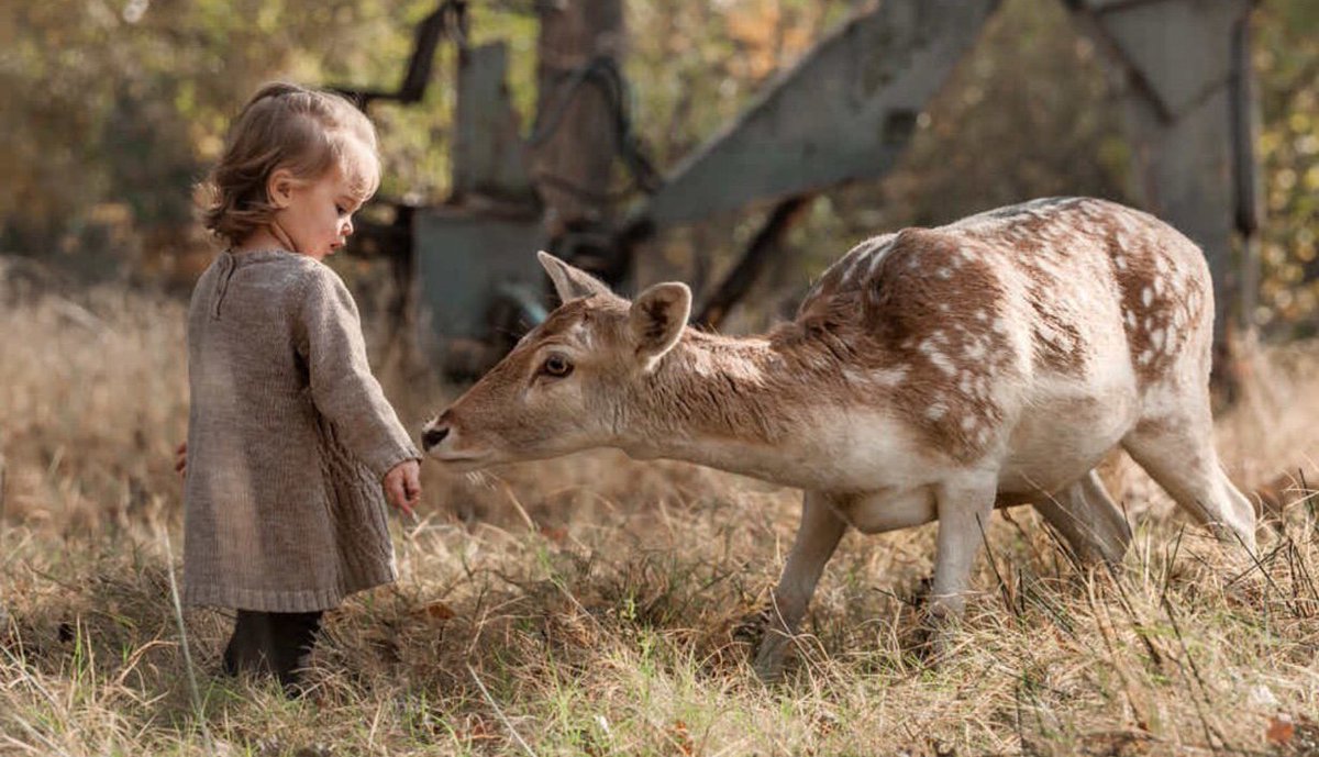 ramblingsloa's tweet photo. A meaningful life is not being rich
Being popular or being perfect.
It’s about being real, being humble
Being able to share ourselves
And touch the lives of others.

Pic Adrian Murray https://t.co/YG6Xa7xDrw
