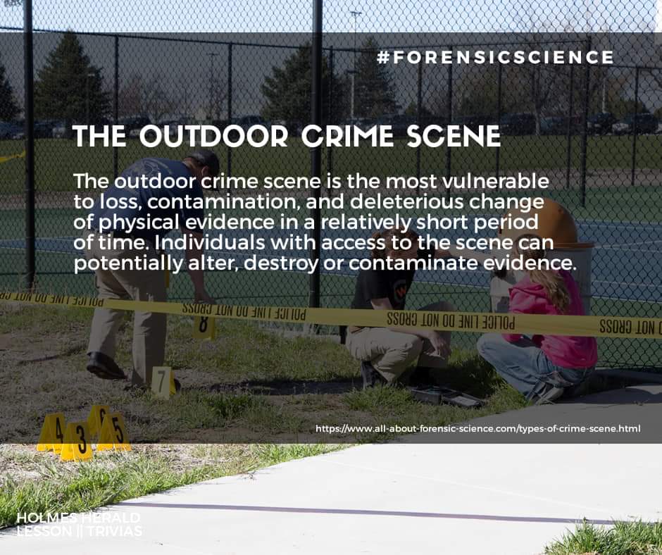 holmes_herald's tweet photo. #FSC2 : THE CRIME SCENE
#FSC2L1 || Physical Evidence and the Crime Scene

https://t.co/bkCQcImZJ8 https://t.co/ZqxZkFuLrR