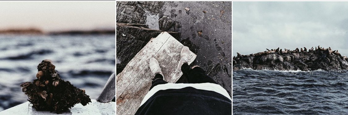 Radek Radzilowski tweet media