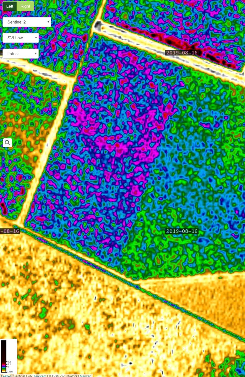 Dry as chips and not a lot happening, but there are a few pin pricks of green.
No in-crop rain. 
Long, long fallow.
Reliant on the left, still has some potential, and Mustang on the right.
Satamap SVI - (low) - image -16-8-19 
Need a rain!
