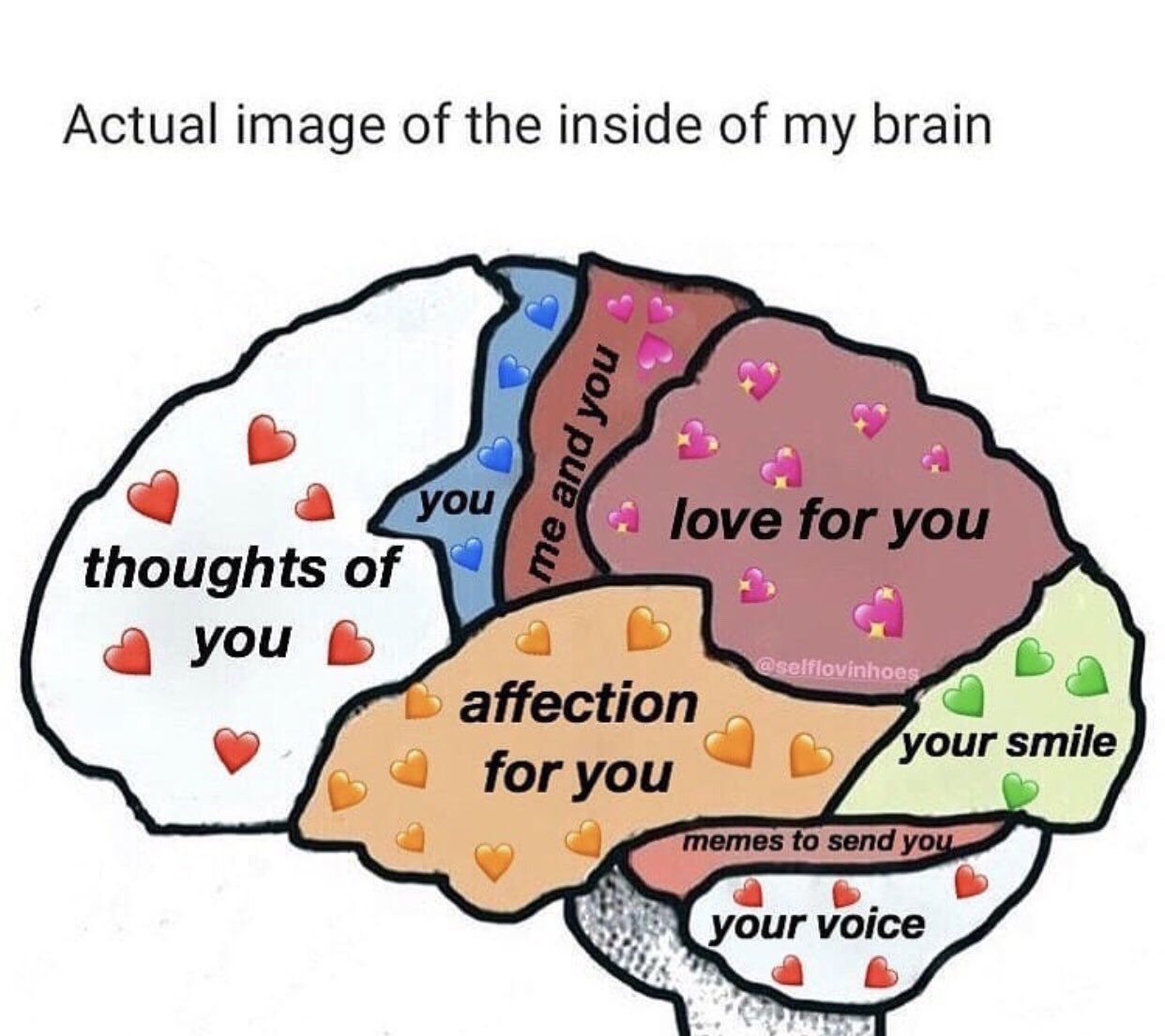 Reactions Actual Image Of The Inside Of My Brain Thoughts Of You You Me And You Love For You Affection For You Memes To Send You Your Smile Your Voice