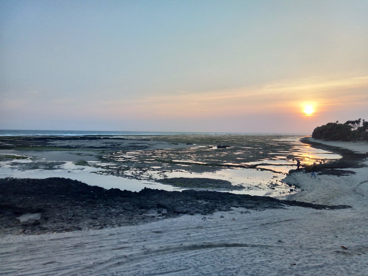 takpernahupdate's tweet photo. "Senja senja tai anjing" Project Hambalang. Makan tuh senja sama tai tainya. Minung tuh kopi sama senjanya, kali aja kambung lu lu orang pecah https://t.co/b0Vcv1N00n