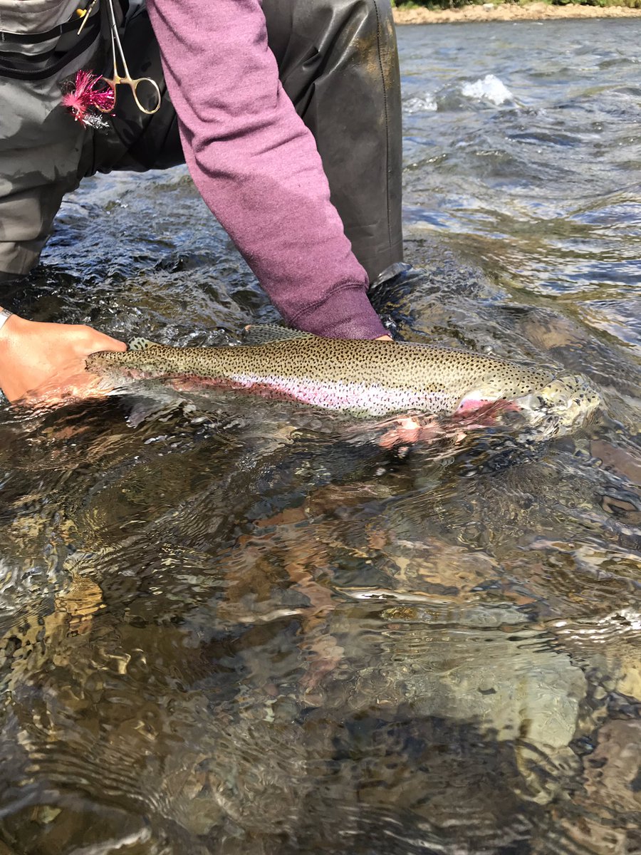 TootChaney's tweet photo. Alaska’s got my heart 💞 https://t.co/e5fet0OW8Q