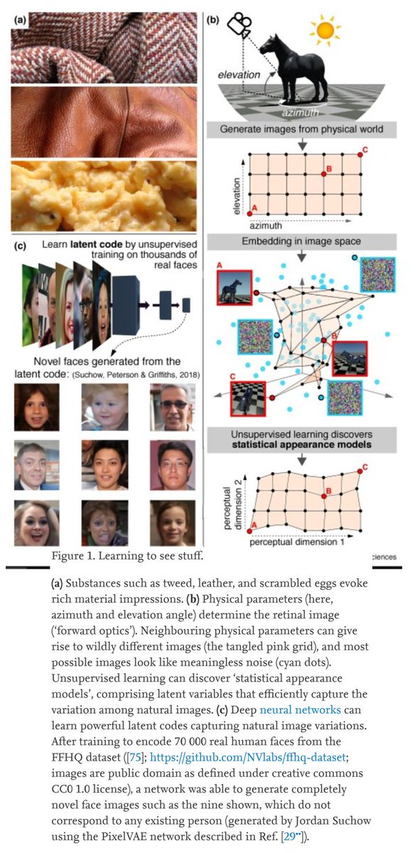 A very nice and readable article on latest advances in visual processing in neural networks, by @katestorrs. #cognitivescience #AI #NeuralNetworks #cognitiveneuroscience #embodiedcognition
sciencedirect.com/science/articl…