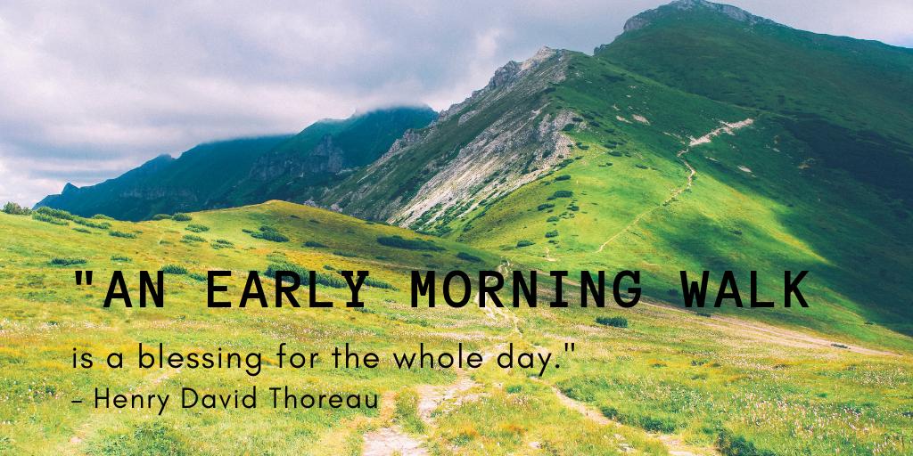 #quoteoftheday #nature #naturelovers #thegreenpill #NatureBeauty