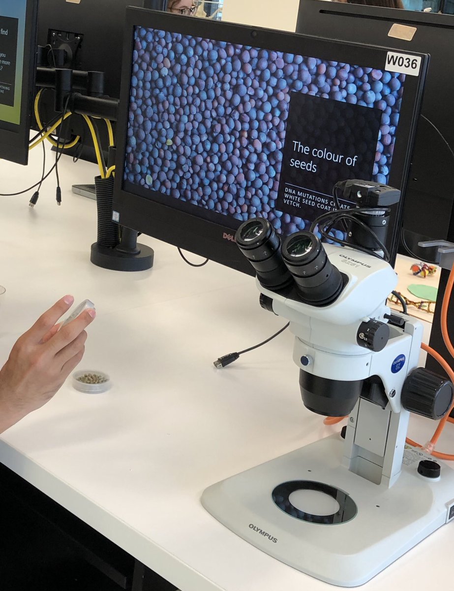 iain_searle's tweet photo. #UAOpenDay #Crop #science . Thanks to @waiteresearch, @PNgsabrina and @iain_searle lab https://t.co/V1b3rvY05z