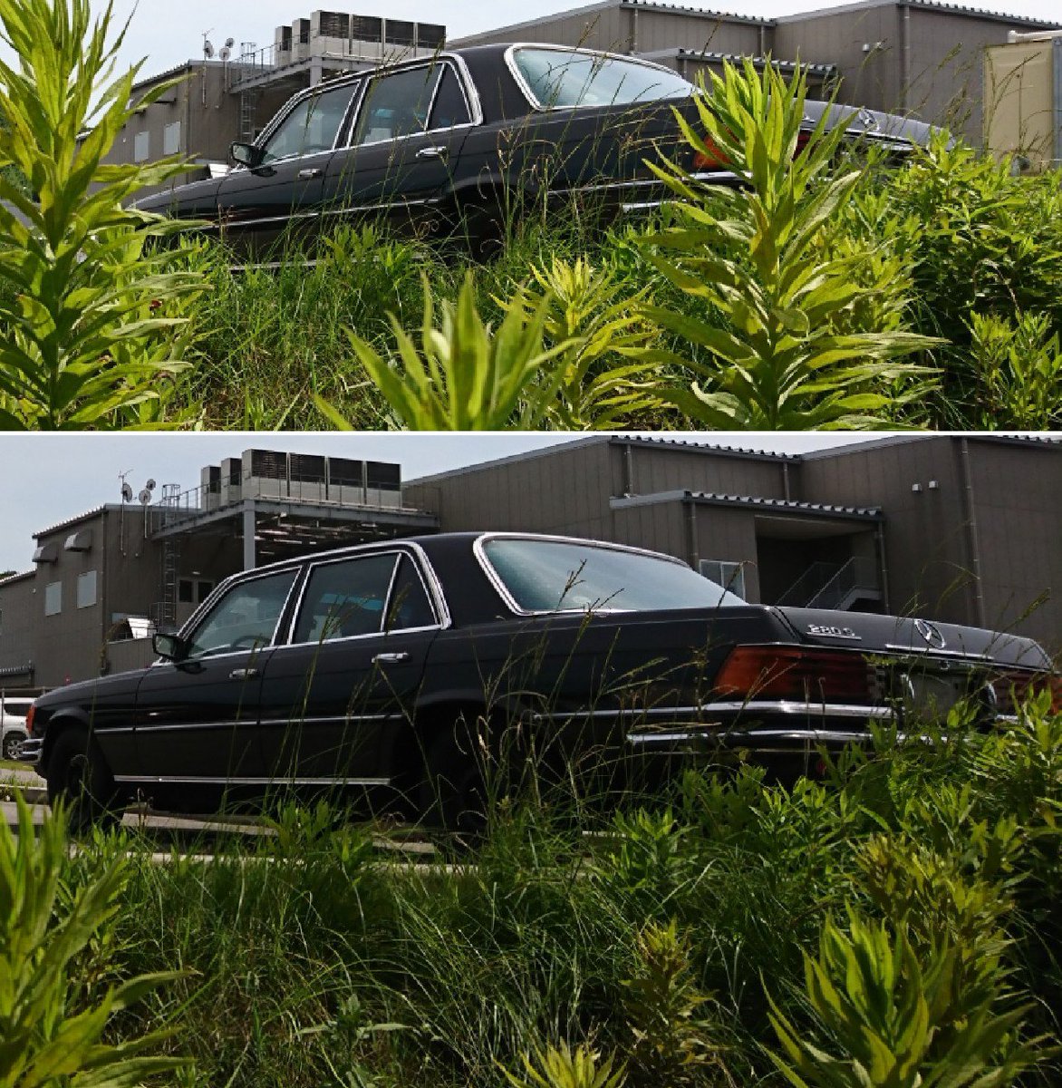 Kp61 Sur Twitter 高級車 ベンツ280s 草ヒロ 280s ベンツ 高級車 ドイツ車 T Co 6neskwxj Kp61 Sur Twitter 高級車 ベンツ280s 草ヒロ 280s ベンツ 高級車 ドイツ車 T Co 6neskwxj