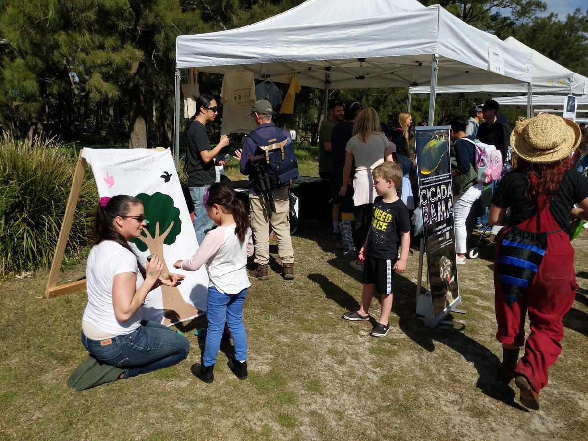 christiewithaC's tweet photo. Wow, huge turnout today at #scienceintheswamp event - great end to #Scienceweek! So many people keen to learn about #cicadas at our #cicadarama stall! Also check out the plush cicada toy I made!! ๐ #scicomm #ozinverts @ecotechnica @NaturesTextures @GeoS4m @Aus_ScienceWeek https://t.co/HyWjmQSDiu