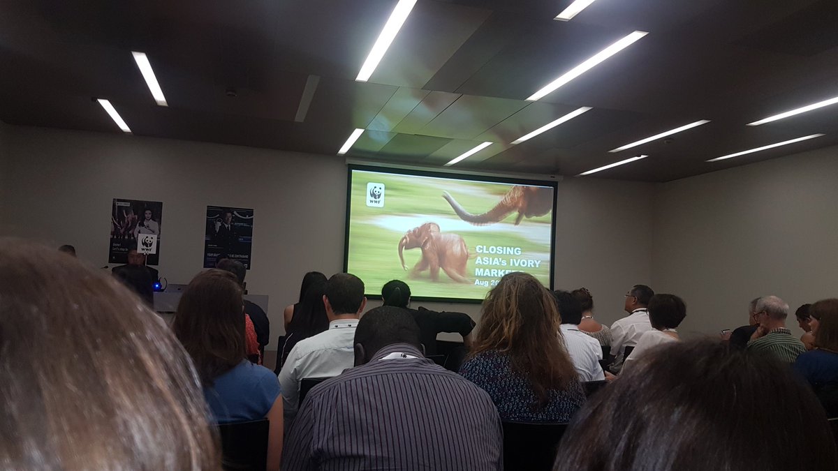 Advocates4Earth's tweet photo. Illegal ivory trade, in both online and physical markets, is still threading the survuval of Earth's largest land mammal (#elephant) - Side event on Closing down Asia's Ivory Markets | #CITES #CITESCoP18 #StopIvory https://t.co/m1pBLxjd5r