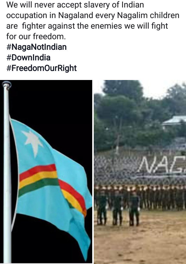 fb44036df1d042e's tweet image. Great Step NagaLand...
