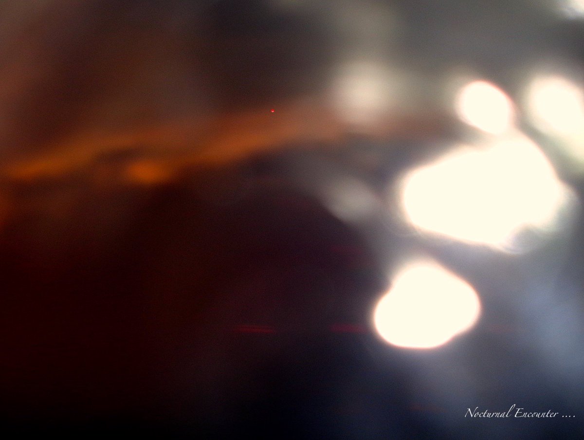 UnbesetztSynth's tweet photo. I dropped my guard for a nano-second und Melinoë enters the frame #VictoriaPark #MorpheusStrangle #Snaca #DiesSolis #PapaverSomniferum #Engelhaft #Bǣddel #Chèo #Lāth #Slumber #Fǣran @reedandcaroline @drunkenpoet92 @TinSoldiere @VeryRecords ::🌓! https://t.co/pQmBmT2EuI
