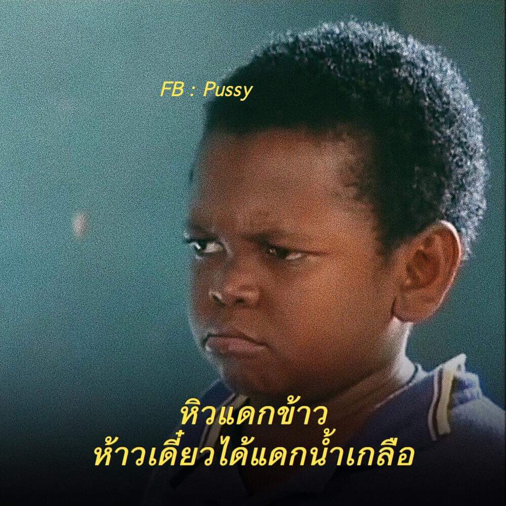 penkeaw's tweet photo. ไอ้เหี้ยยยย555555 ขำไม���ไหวแล้วป่ะ

#แจกมีม #แจกดิส #มีมตลก #มีม #แคปชั่น  #แคปชั่นเด็ดๆ https://t.co/YYvuaph2sa