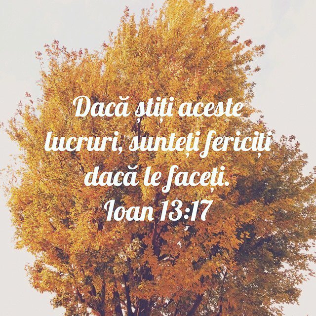 alexandragiula's tweet photo. “Dacă știți aceste lucruri, sunteți fericiți dacă le faceți.”
Ioan 13:17  https://t.co/ORJfpkioC3 https://t.co/80pBhwCZsJ