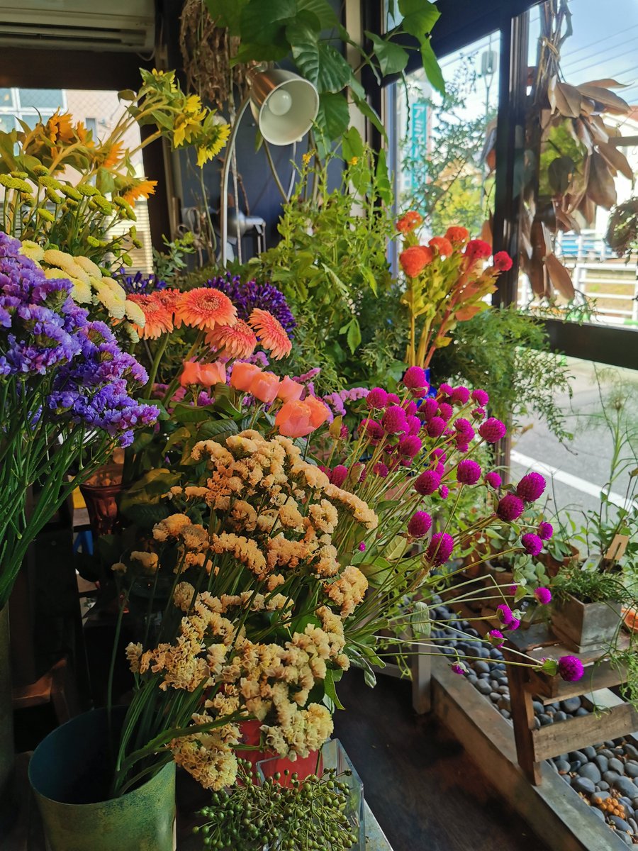 定期的に リング 鎮静剤 自宅 近く の 花屋 ビルダー 衝突 本当に