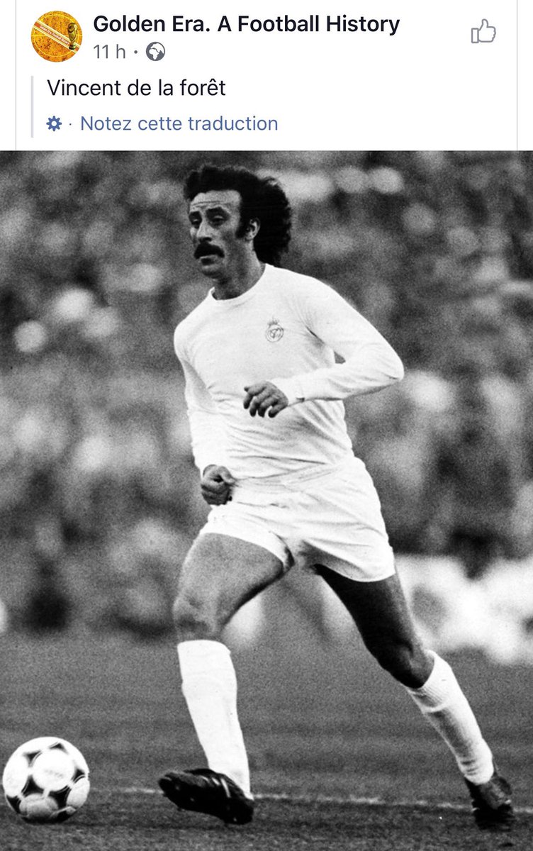 La magie du traducteur automatique. 😂😂😂