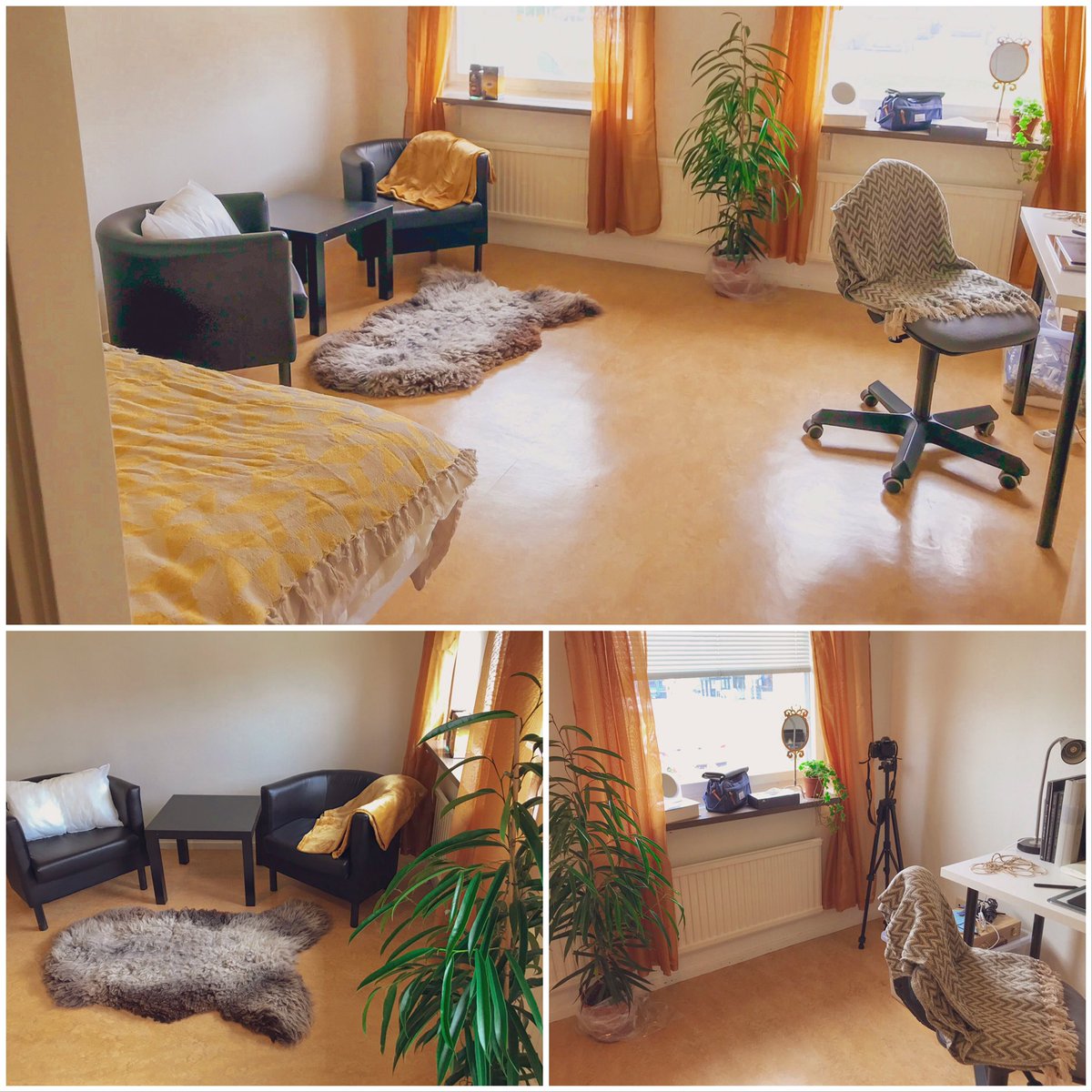 ellis__leon's tweet photo. So I moved into a dorm this Friday! Here’s a before and after pic of my room 🌞✨👀 https://t.co/NSlGS5Jv06